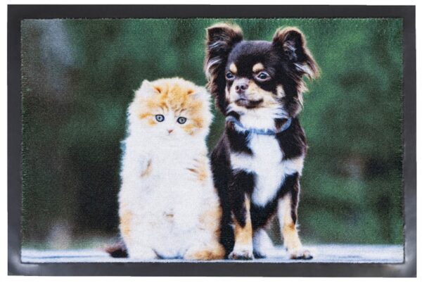 Deurmat hond en kat